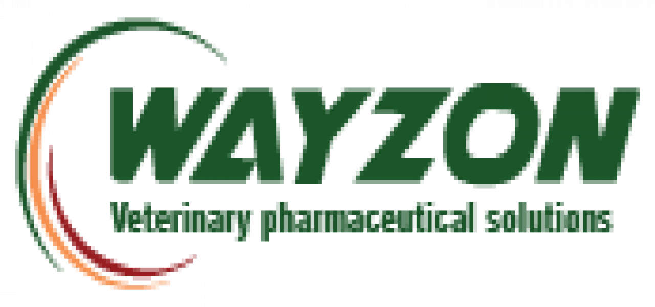 Wayzon Pharmalogo