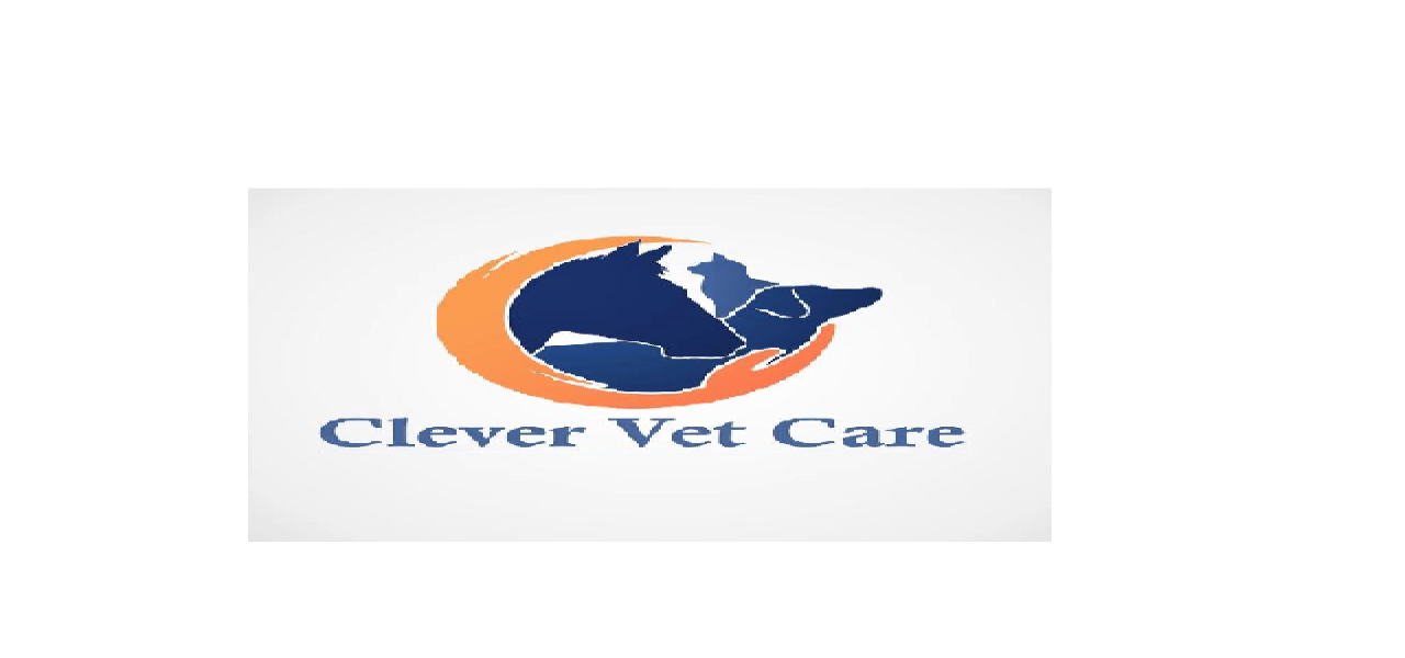 Clever Vet Care