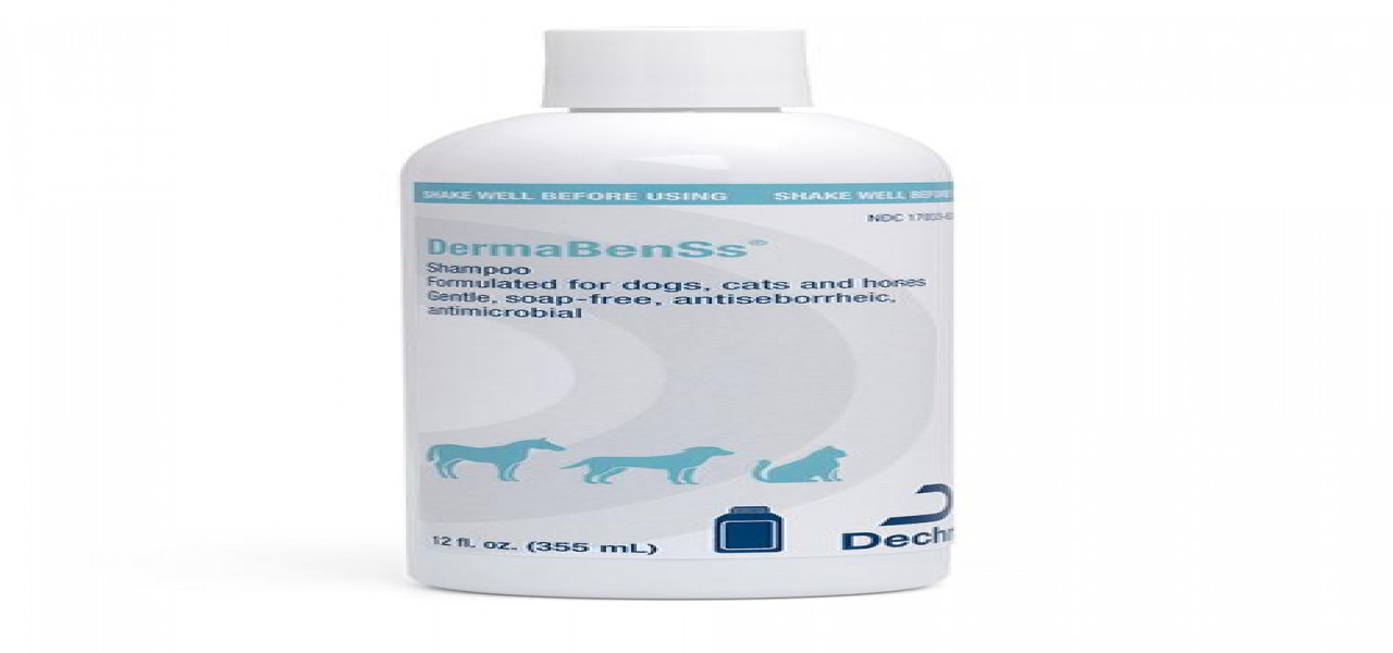 Dermabenss shampoo outlet reviews