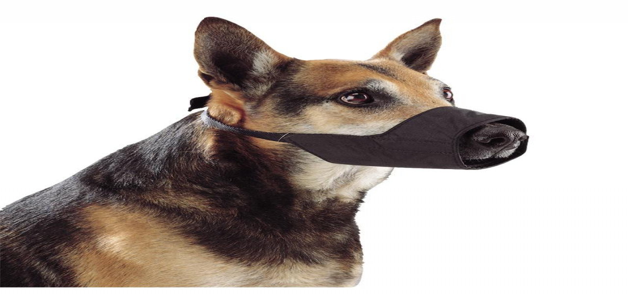 Kruuse dog outlet muzzle