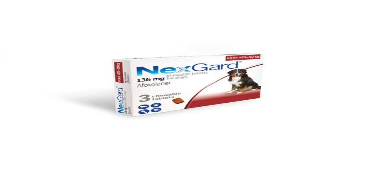 Nexgard spectra for dogs anti-tick medicine dog chewing type, Gallery  posted by พ่อหมารีวิว