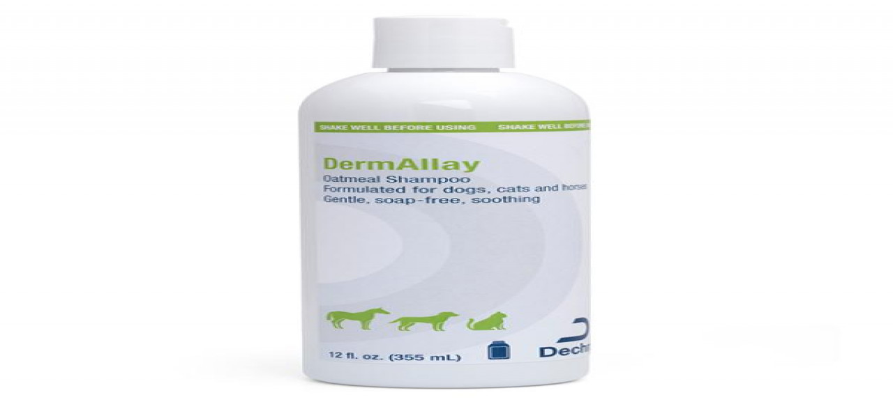 Shampoo - Dechra Veterinary product | Vetution